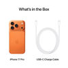 Εικόνα από APPLE IPHONE 17 PRO 256GB Cosmic Orange Κινητό Smartphone