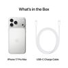 Εικόνα από APPLE IPHONE 17 PRO MAX 256GB Silver Κινητό Smartphone