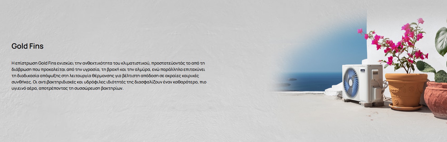 5205022023883 TAN%20TAG%2018IG%20IKIGAI 005